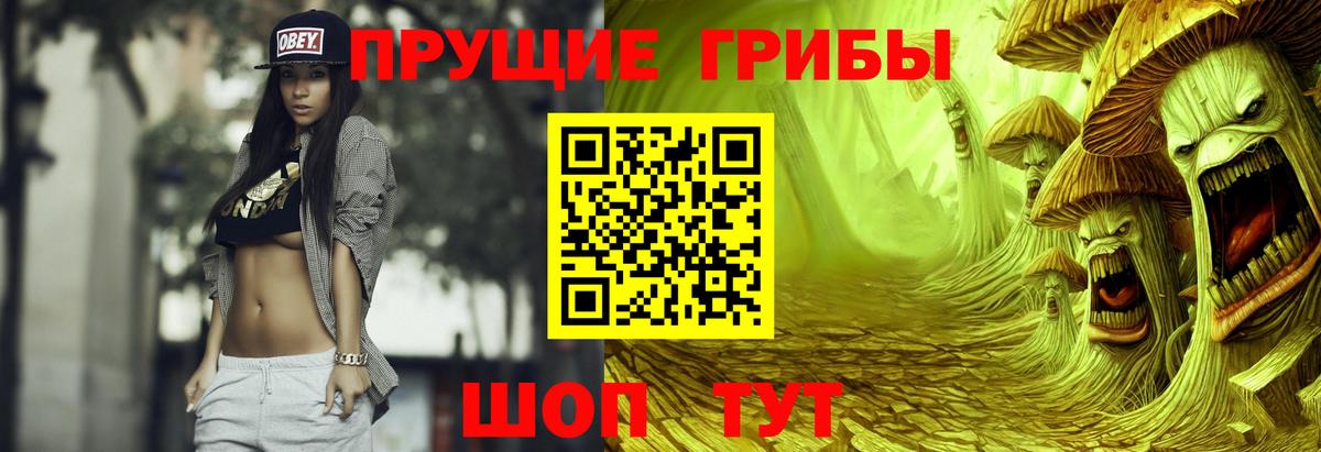 Псилоцибиновые грибы прущие грибы  Вход с VPN  Геленджик 